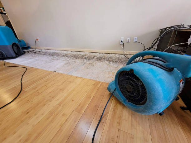 Professional Water Removal technician working in Columbia, MO